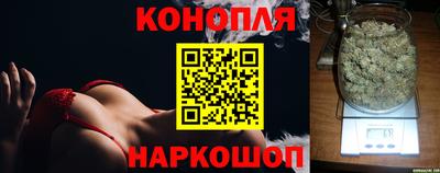 соль ск Гатчина