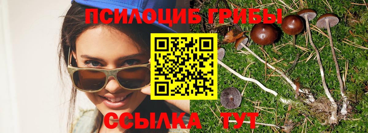 Галлюциногенные грибы Psilocybine cubensis  Вход с VPN  Новошахтинск 